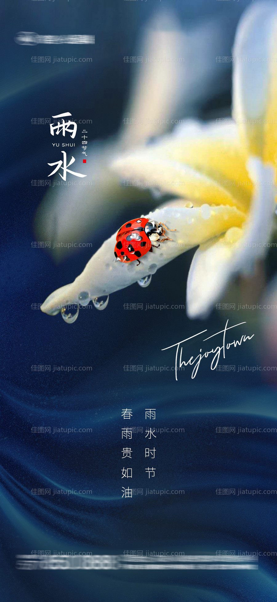 雨水惊蛰节气-源文件
