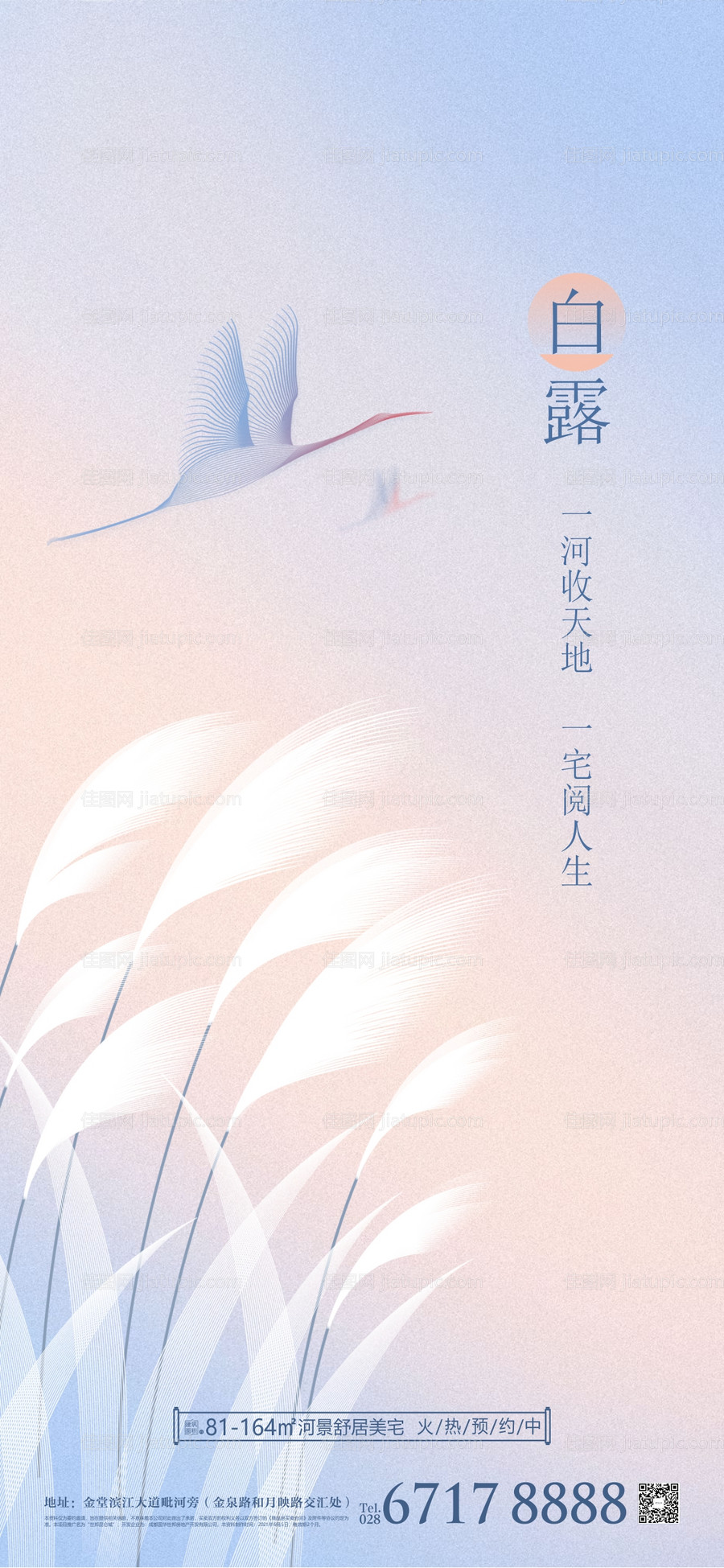 白露节气海报-源文件
