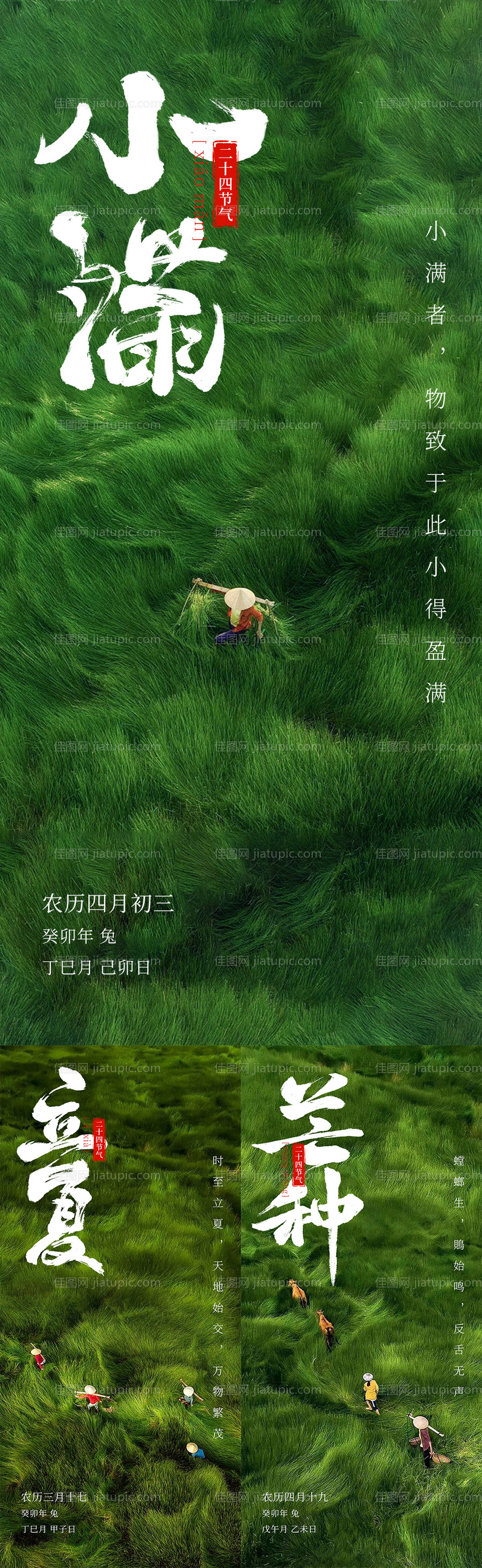 小满芒种立夏节气系列海报-源文件