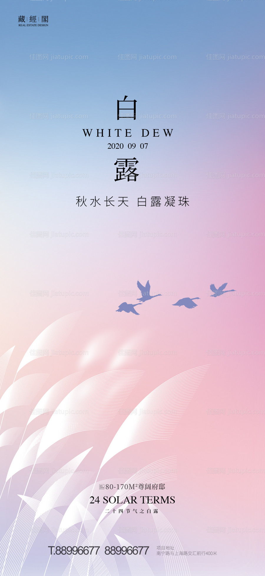 白露节气海报-源文件