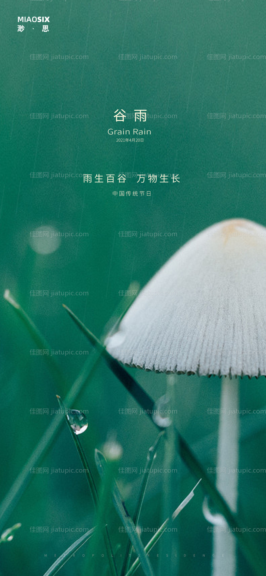 谷雨润如油-源文件