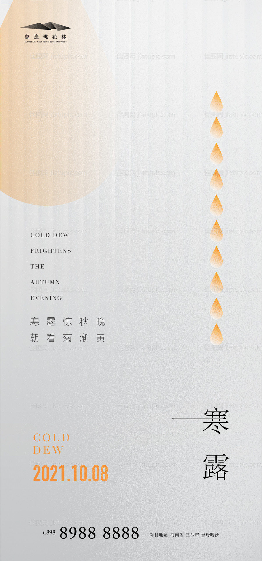 寒露简约海报-源文件
